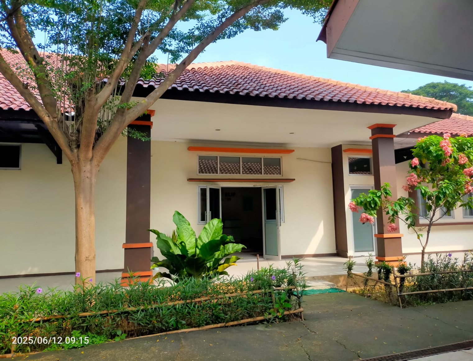 Anyelir